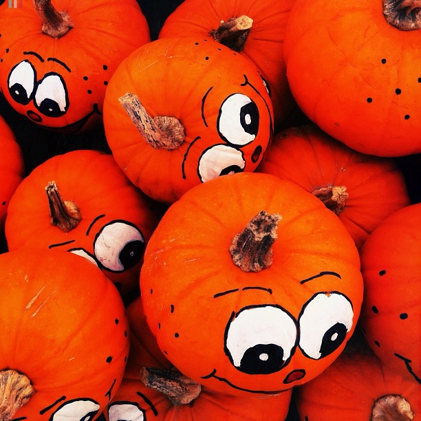 pumpkin IV
